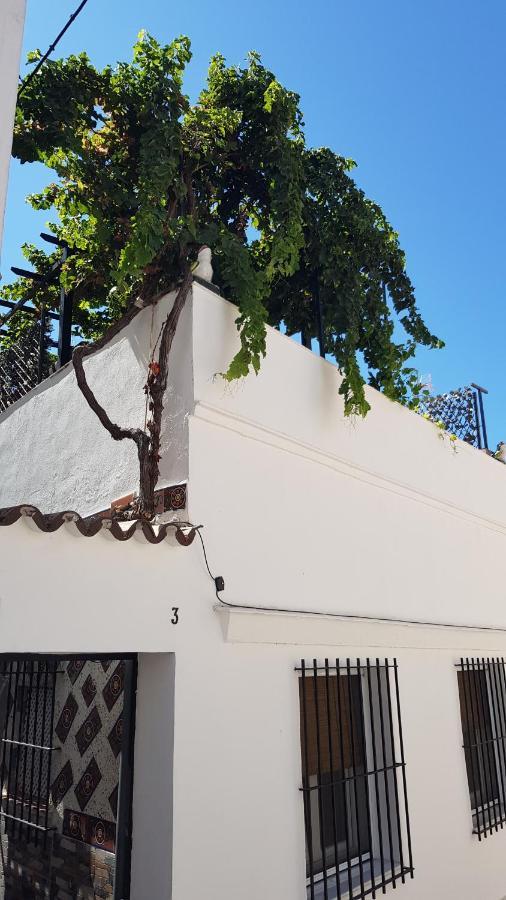 Kiana Loft, La Casa Del Parral Lejlighed Jerez de la Frontera Eksteriør billede